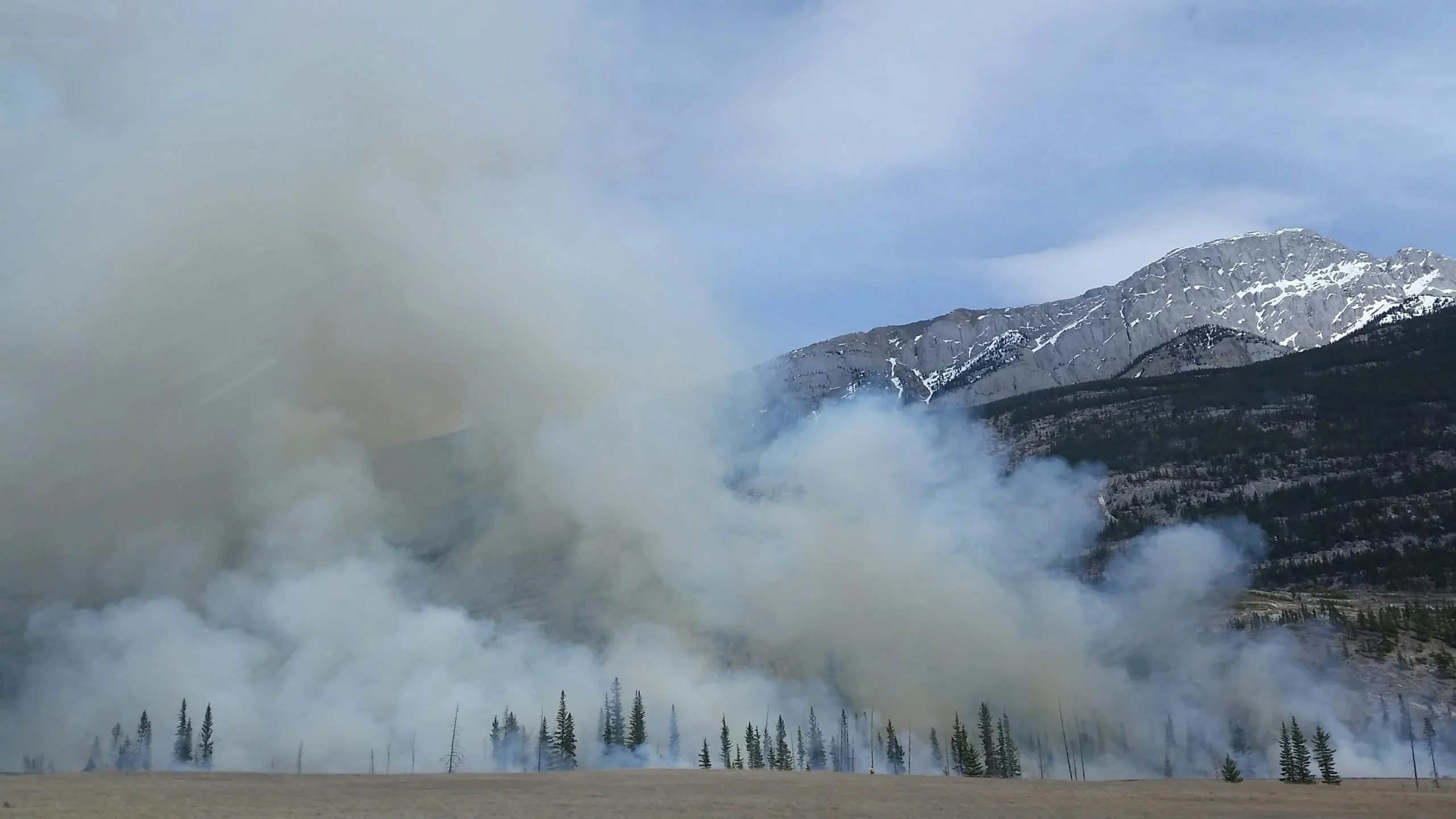 Image of a forest on fire